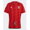 Officiële Voetbalshirt Wales Thuis WK 2022 - Heren